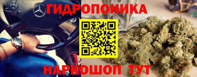 spice Кингисепп