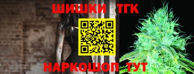 spice Кингисепп