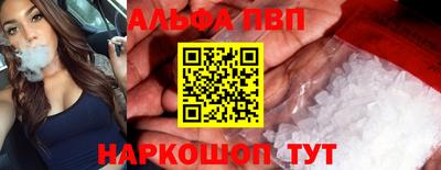 spice Кингисепп