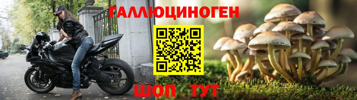 Галлюциногенные грибы Cubensis Краснодар